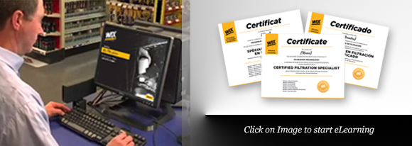 Wix Institute Image